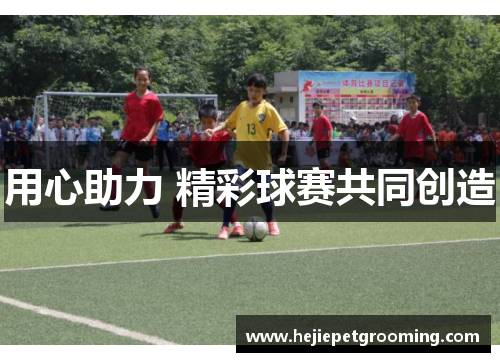 用心助力 精彩球赛共同创造